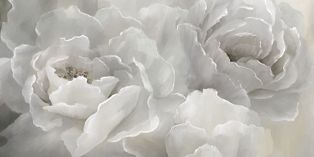 Soft Peony Lace