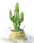Tall Cactus - Carol Robinson