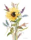 Afternoon Sunflower II