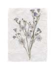 Decoupage Floral II