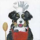 Chef Pup I