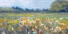 Countryside Meadow