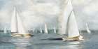Harbor Regatta - Sally Swatland