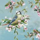 Spring Song and Blossoms II