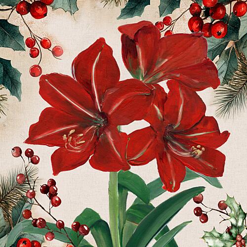 Amaryllis and
