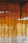 Summer Rain II - Patricia Pinto