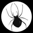 Black Spider - Patricia Pinto