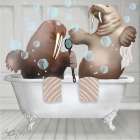 Walrus Bathtime