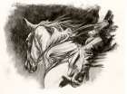 Sketched Horse Rider View