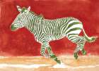 Edgy Zebra