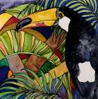 Toucan