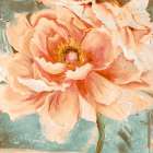 Beautiful Peonies Square I - Patricia Pinto