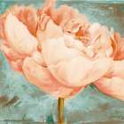 Beautiful Peonies Square II - Patricia Pinto