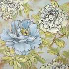 Peony Fascination I