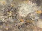 Sparklers II - Albena Hristova