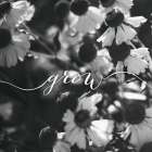 Grow - Laura Marshall