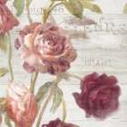 French Roses IV