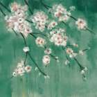 Cherry Cloud II Jade - Silvia Vassileva