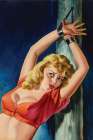 Pulp Cover - The Captive