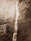 Multnomah Falls, Columbia River, Oregon, 2500 feet., 1867