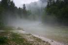 The River