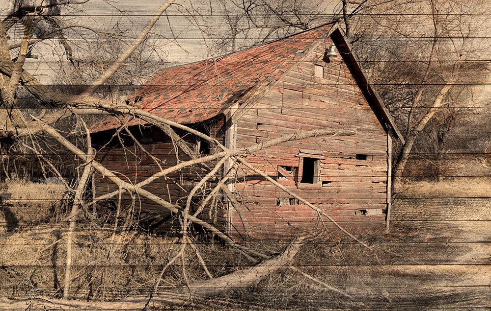 Lost Farmstead on the Prairie 061