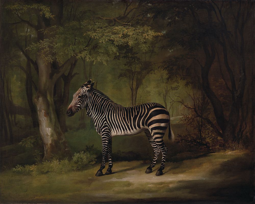 Zebra - George Stubbs