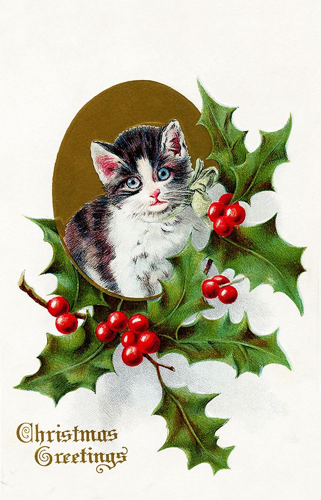 Kitten with Holly