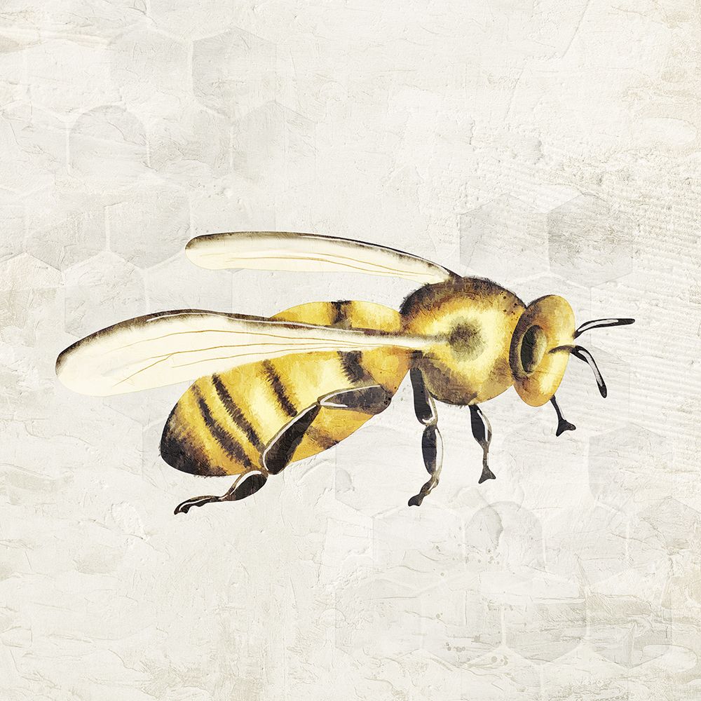 Honeybee 2