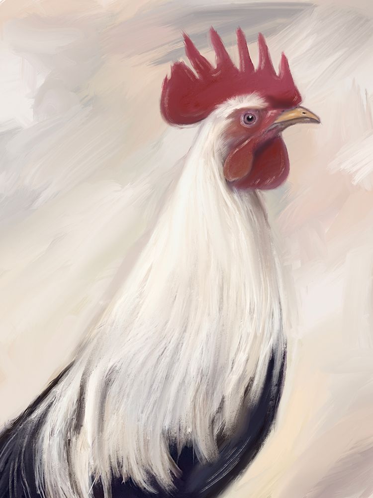 Farm Rooster