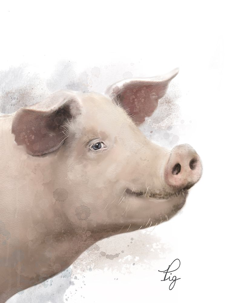 Farm Pig 2