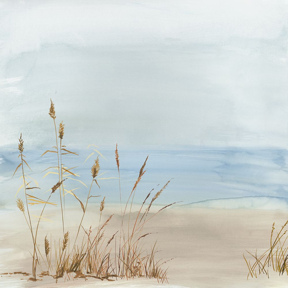 Beachside Grasses in Tranquil Light