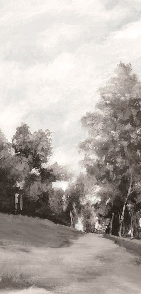 Pathway Through Tranquil Trees I