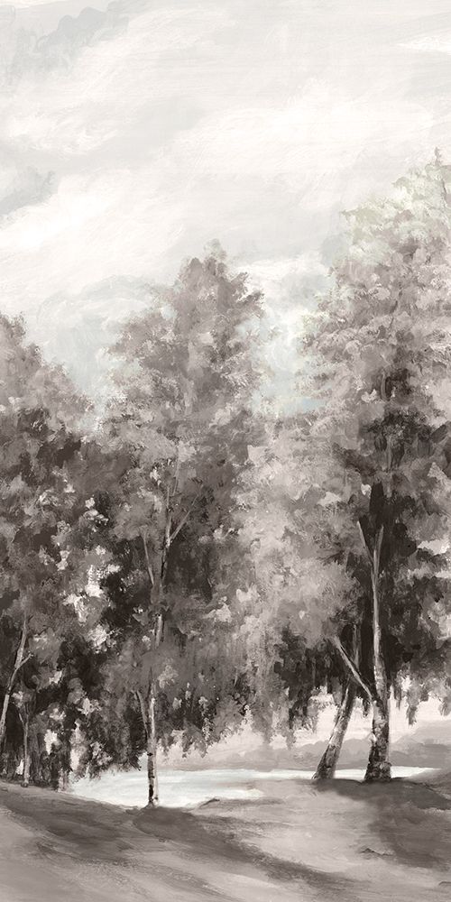 Pathway Through Tranquil Trees II