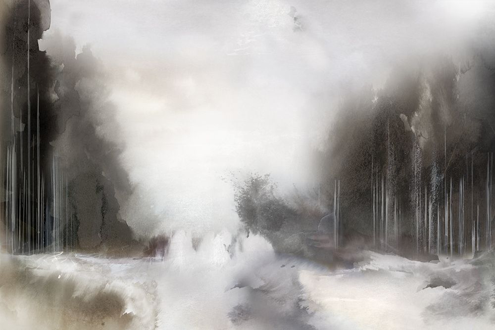 Mist Over Silent Forest Path