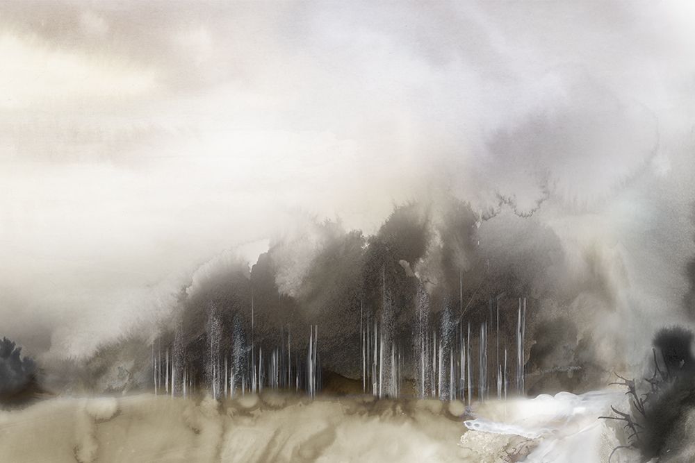 Misty Forest Under Grey Skies