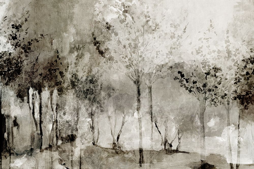 Misty Woodland Reflections