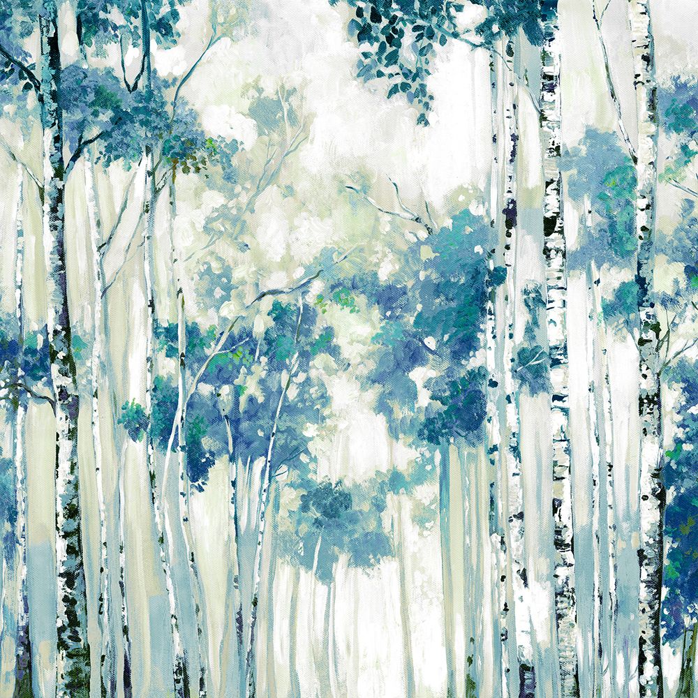 Birch Trees in Gentle Mist