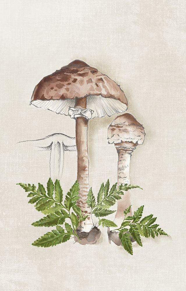 Mushroom Forest Sketch II