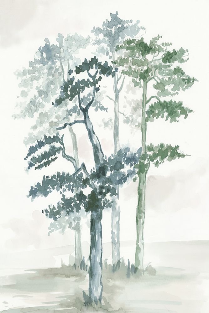 Misty Forest Serenity I