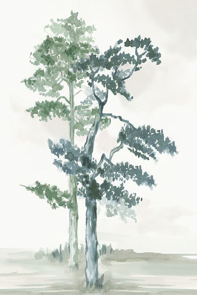 Misty Forest Serenity II