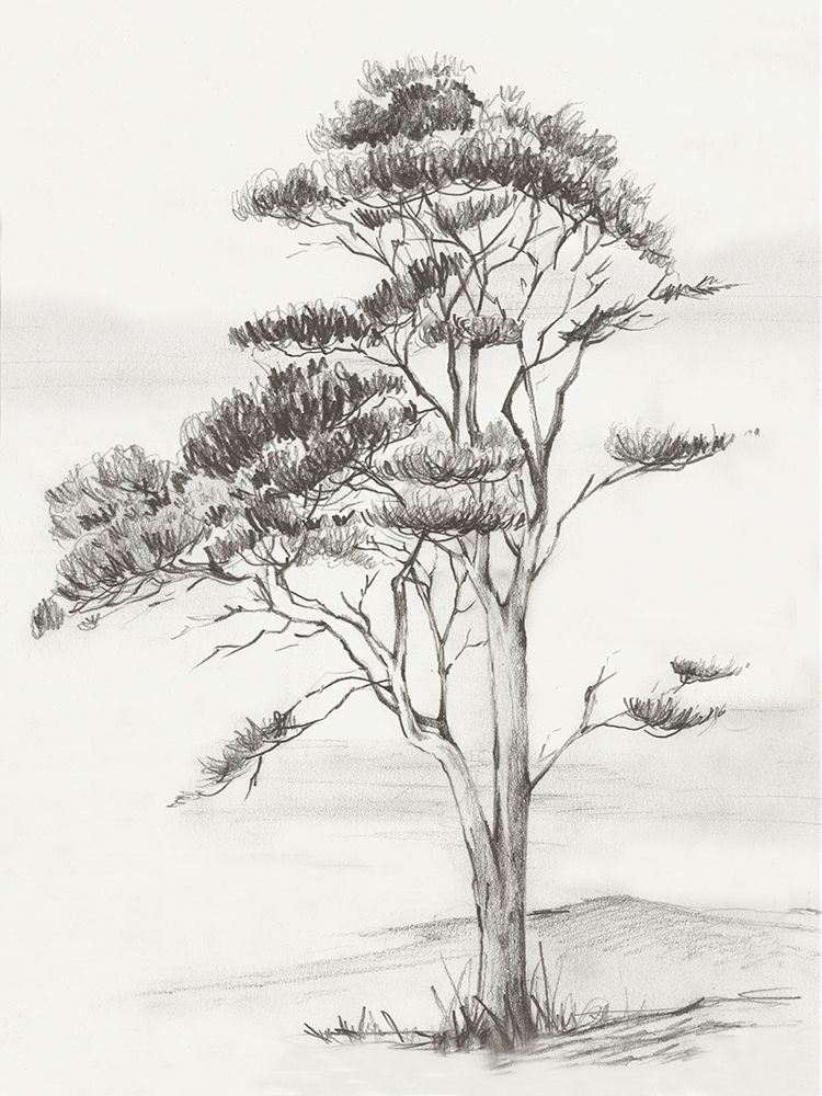 Solitary Tree in Gentle Breeze I