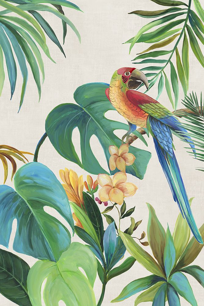 Tropical Parrot II