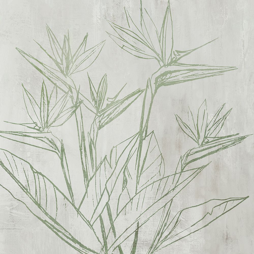 Botanical Linework on Textured Canvas