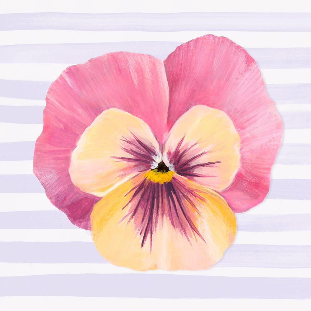 Pansy on Striped Canvas II