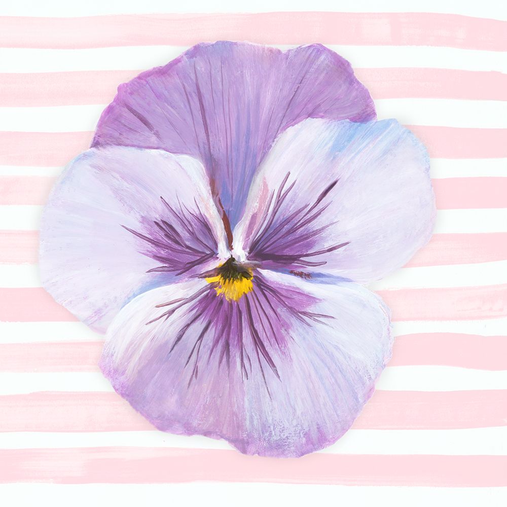Pansy on Striped Canvas III