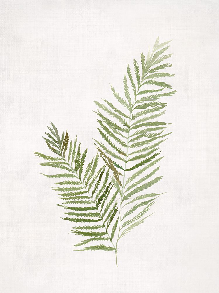 Serene Ferns on White Canvas