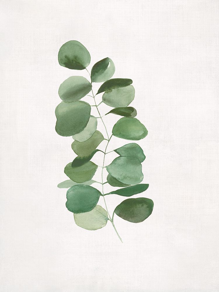 Eucalyptus Simplicity on Canvas