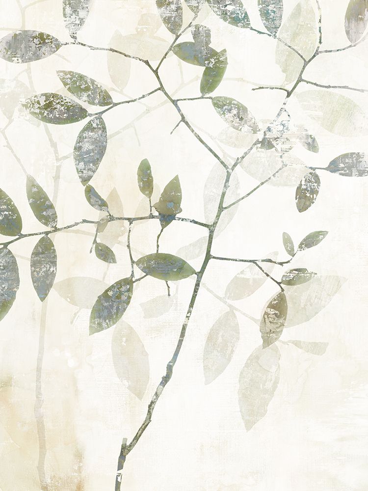 Branches in Soft Focus Canvas