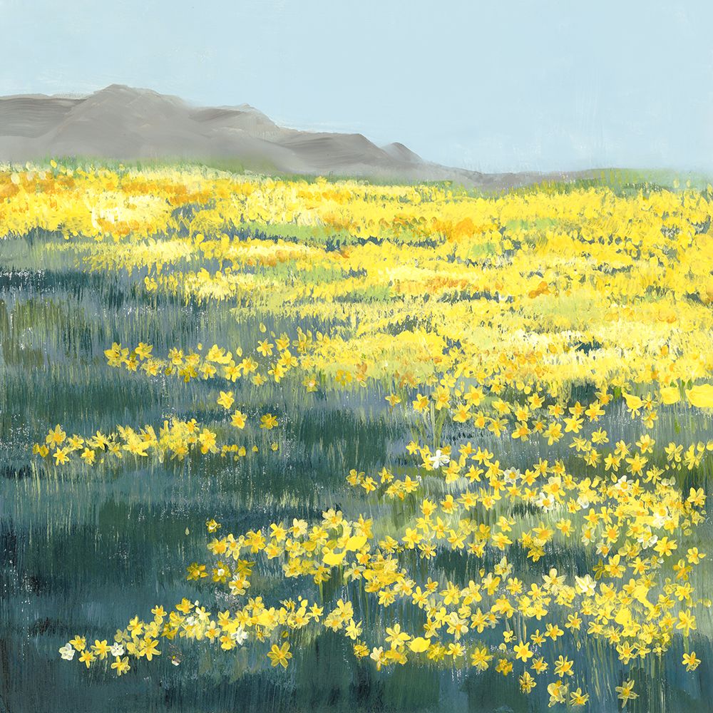 Field of Golden Blossoms